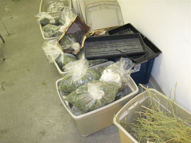 Long Beach Police raided seven medical marijuana dispensaries Wednesday, Oct. 10, 2012. Several of the dispensaries operated elaborate marijuana growing facilities.
