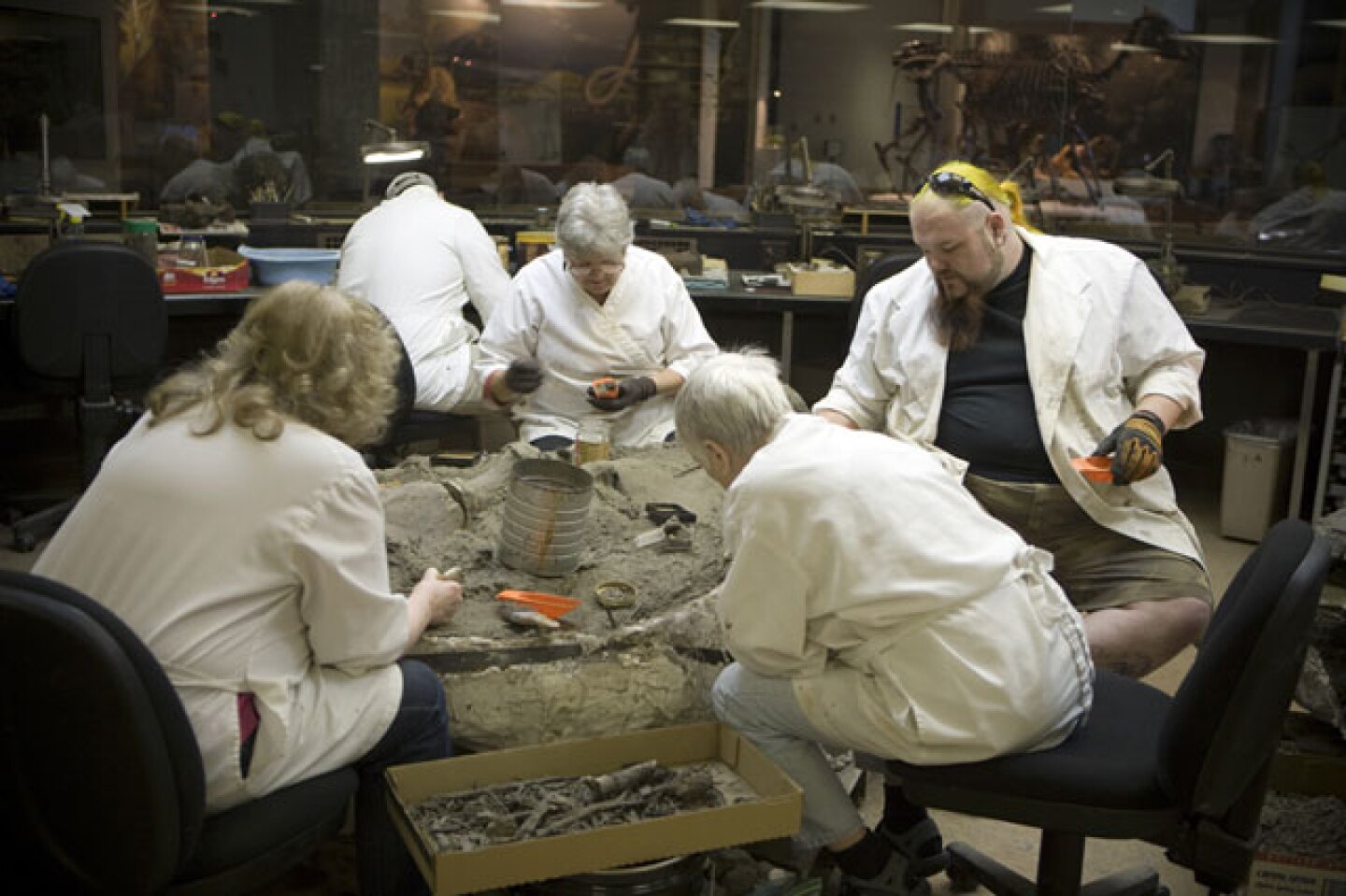 fossilsfind.jpg