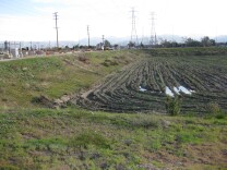 LADWP is doubling the capacity at its Tujunga Spreading Grounds by deepening it. 