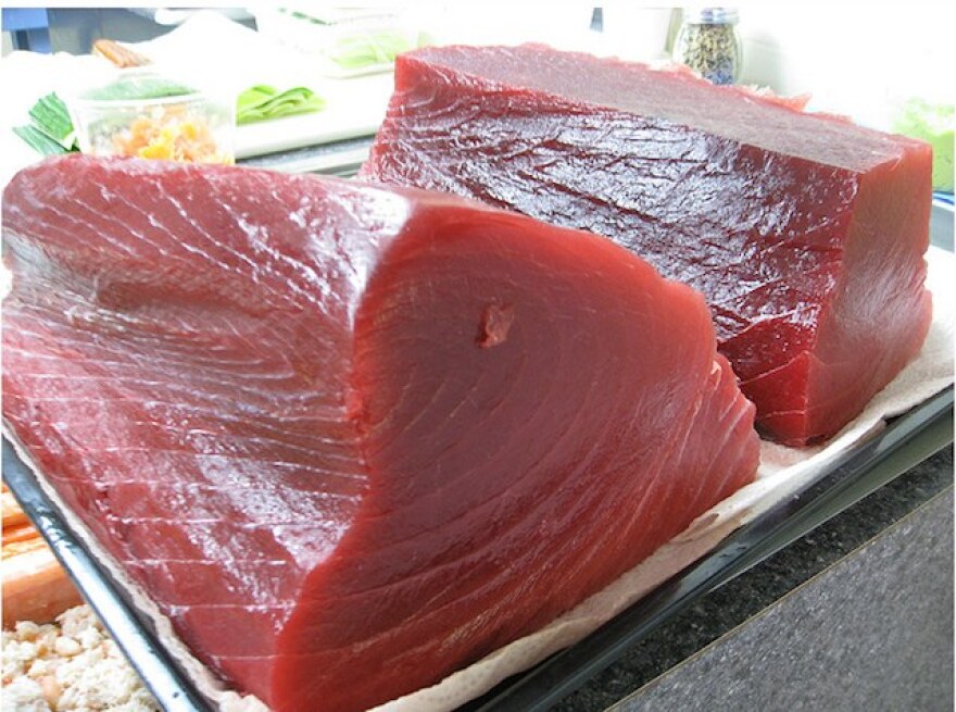 bluefintuna2.jpg