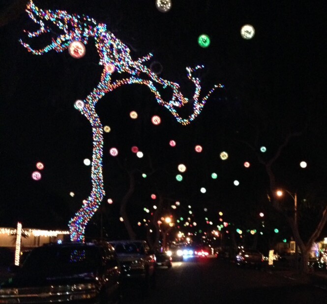 Balls of light hang from a tree. Another tree is decorated with lit string lights. 