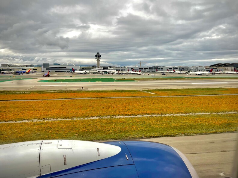 A photo of Los Angeles International Airport, taken from the perspective of an airline passenger landing on the runway. California poppies are blooming on the grass next to the runway.