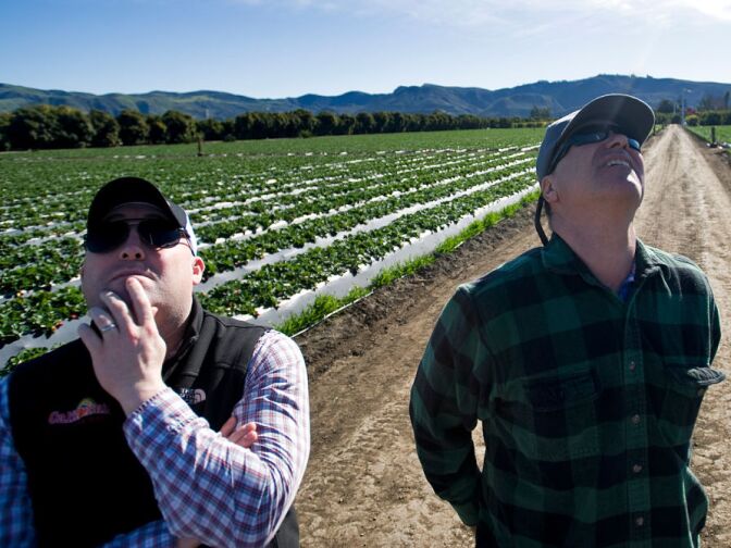 Andrew Wiemers, grower communications specialist for the California Strawberry Commission, and Terry Farms Inc. owner Edgar Terry watch as a wind turbine spins.