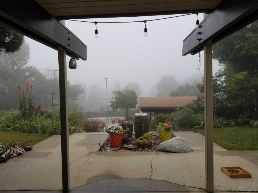 A backyard in the Crescenta Valley, early morning, showing a grey sky above and a garden with a succulent patch in the center