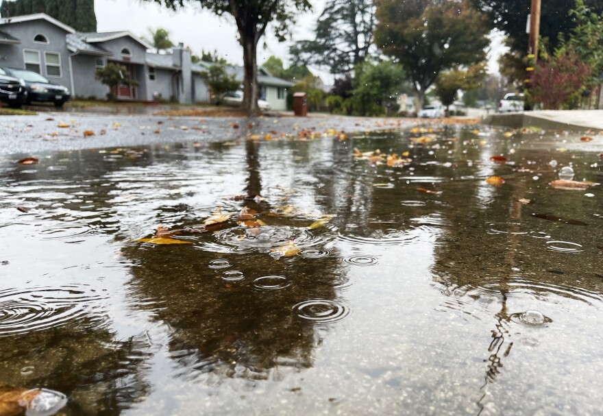 A close-up image of a puddle with rain drops falling into it, and leaves floating on the surface.