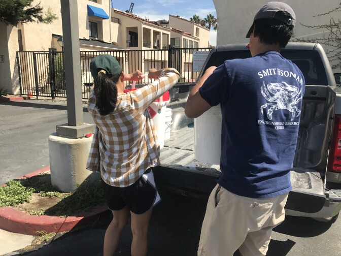 Scientists Andy Chang and Elena Huynh load their truck with samples from the marina. 