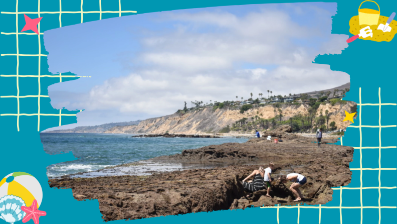 A coastal scene showing people exploring rocky tide pools in the foreground while others walk along the beach. Dramatic cliffs with vegetation and buildings line the coastline under a cloudy sky. The image has a teal decorative border with beach-themed icons including a beach ball, starfish, and sand bucket.