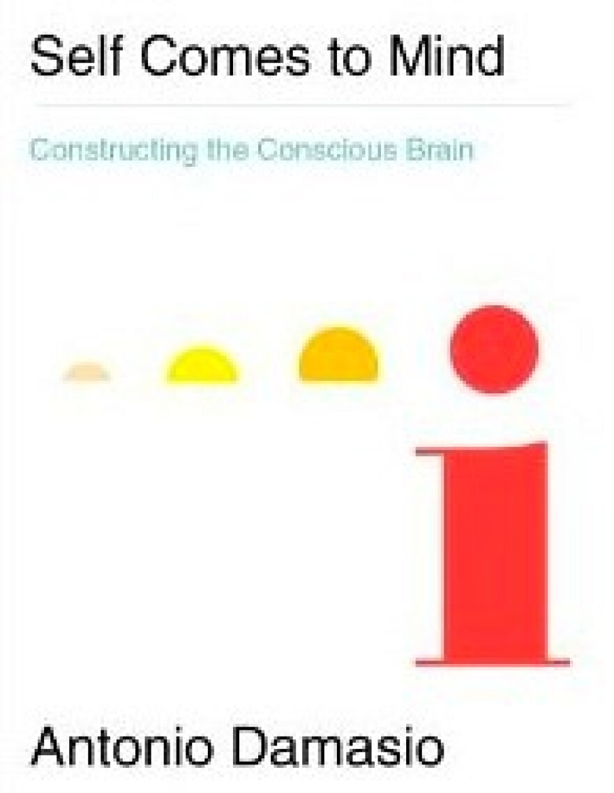Self Comes to Mind: Constructing the Conscious Brain