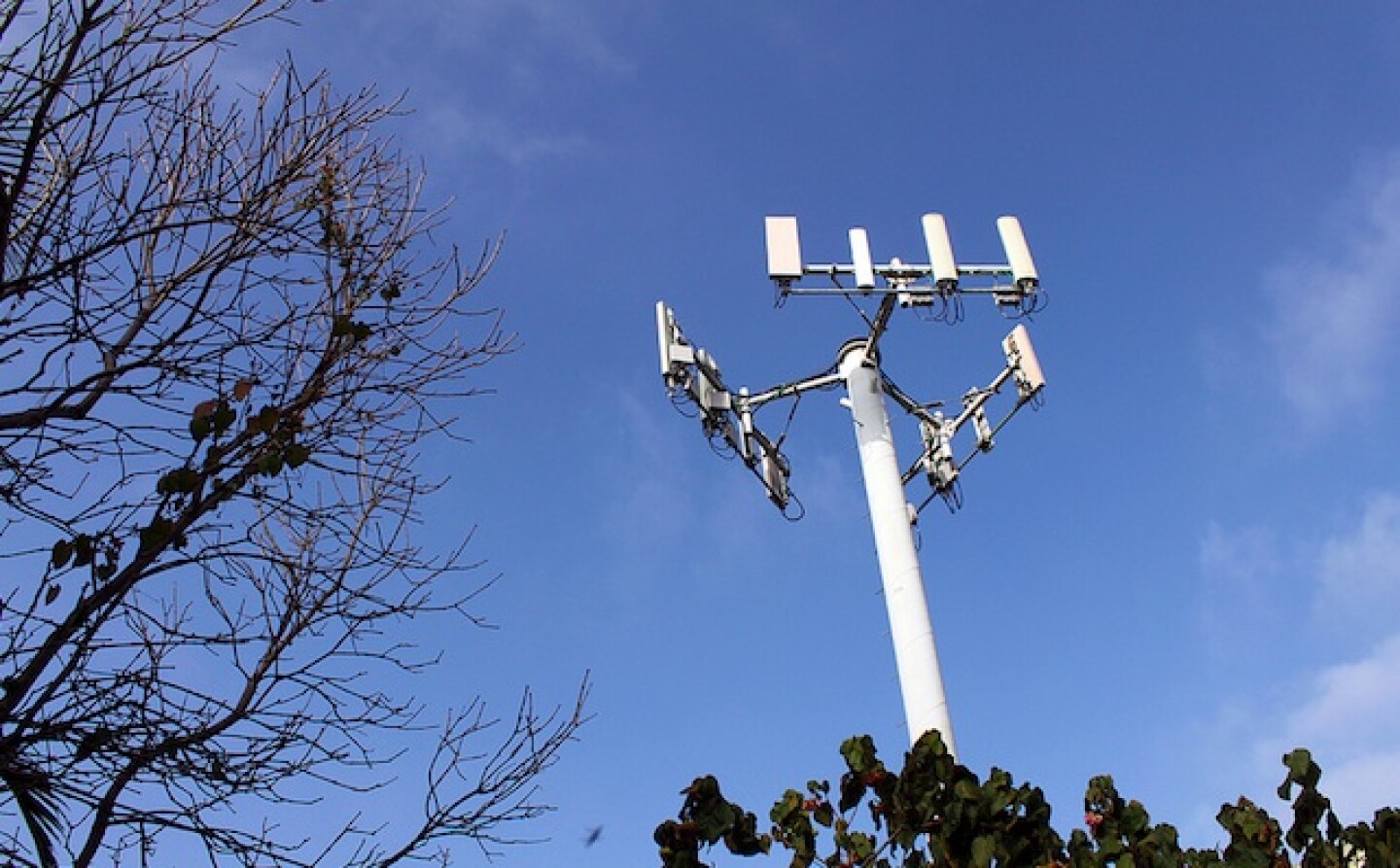 cell phone tower.jpg