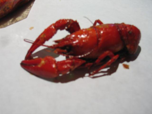 5b2c64ef4488b3000928493f-original.jpg