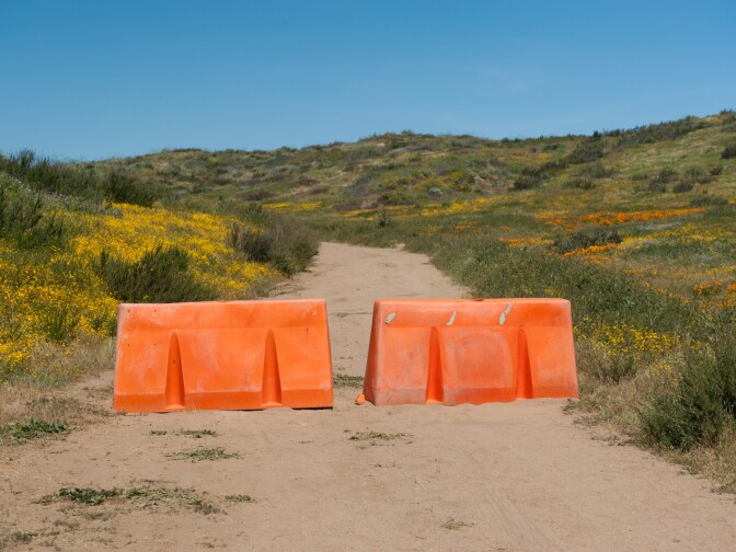 The Metropolitan Water District had to close the wildflower trail at Diamond Valley Lake in Hemet, California for several days to avoid damage to the area after thousands of people came during the superbloom this spring, many of them wandering off trail in pursuit of photographs, selfies, and a more intimate wildflower experience, March 30, 2017. 