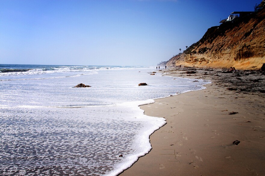 encinitas_beach.jpg
