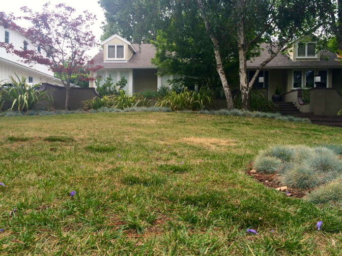 “When that rebate goes away, your business model is going to be on shaky ground,” said Sandra Giarde, Executive Director of the California Landscape Contractors Association.