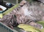 5b2bd5204488b3000926afa7-original.jpg