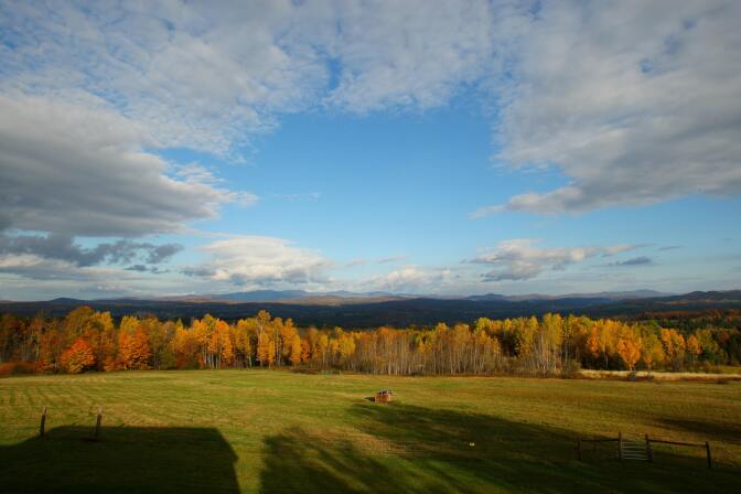 With the Green Mountains in the background, the rising sun illuminates a stand of trees on October 20, 2007, in this view from Comstock House in Plainfield, Vermont.