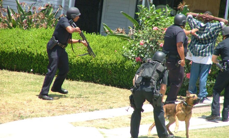 lapdattacks.jpg