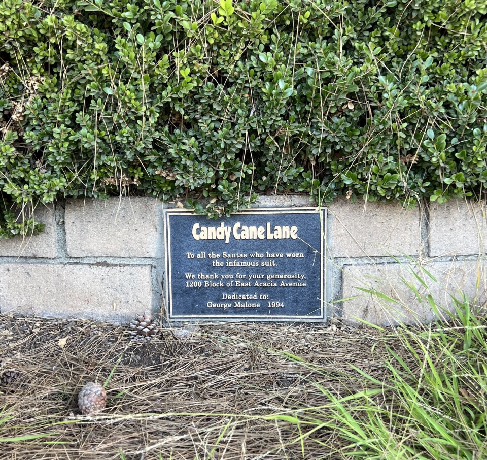 A black and gold plaque on a brick wall reads "Candy Cane Lane." It is surrounded by green foliage. 