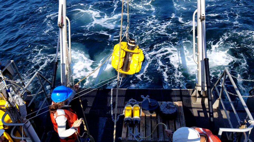 A person on a boat putting something in the water.