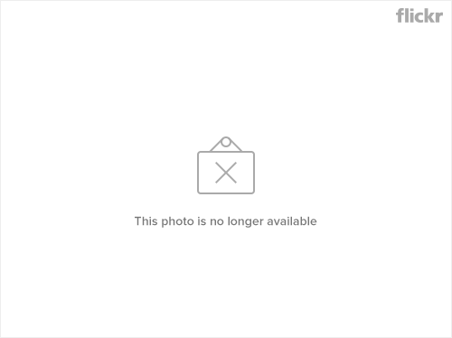 5b2bf7b94488b3000926d159-original.jpg