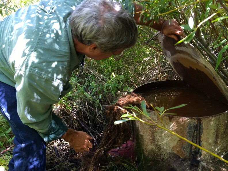 Dave Warner, a consultant to Lake of the Woods, checks out a remote mountain spring on public land above the small community. He says his job is to help small towns in Kern and Tulare Counties know more about their water supply options, so they can better take advantage of government assistance for drought.