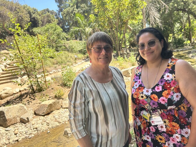 two people stand in a garden with rocks and a stream