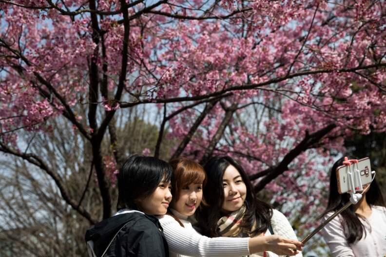 Women take a selfie with cherry blossoms in a park in Tokyo on April 6, 2017. Japan's cherry blossom season kicks off boozy parties across the country and draws tourists from far and wide.