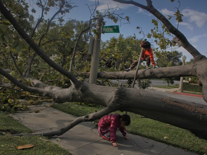 Madeline Tao, 5, and Connor Tao, 7, enjoy the day off from school in Pasadena by using a downed tree in a neighbor's lawn as a jungle gym.