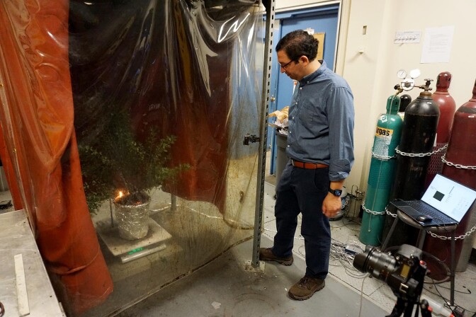 A man wearing a blue long sleeved shirt and dark pants looks at a plant burning, enclosed in a plastic lab experiment.