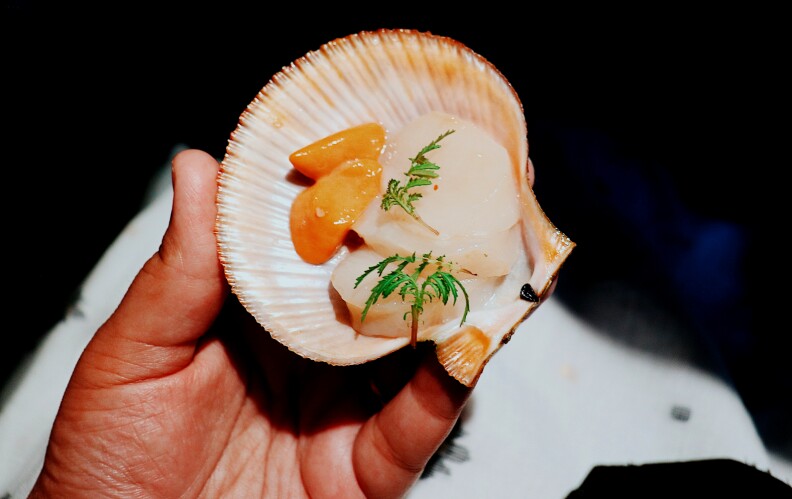 a hand holds a shell with a few scallops in it
