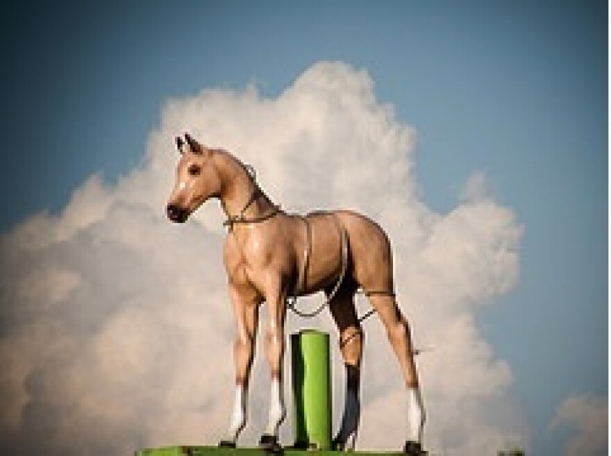 horse_scam.jpg