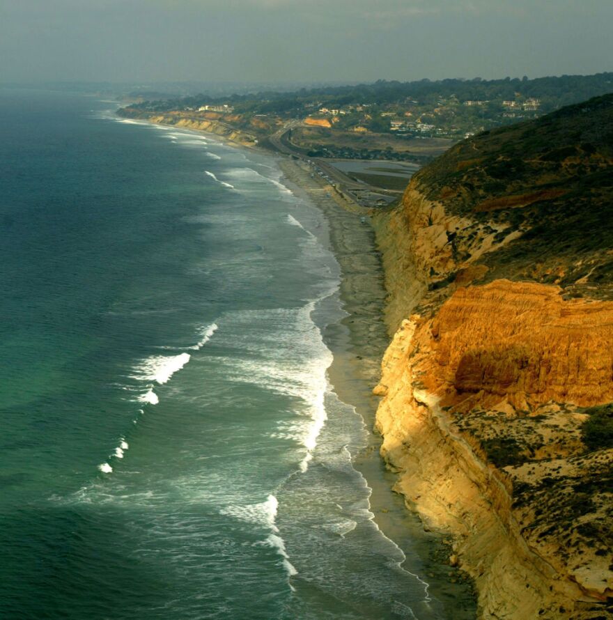 Lifeguards at a popular beach San Diego spotted a great white shark about 50 yards off the coast on Monday, July 2, 2012. 