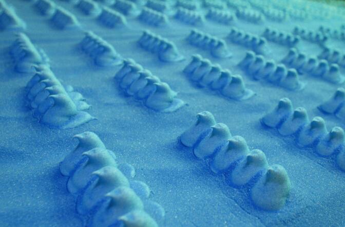 BETHLEHEM, UNITED STATES:  Hundreds of Marshmallow Peeps, on a layer of blue sugar, move down the conveyor belt at Just Born, Inc. in Bethlehem, PA 29 March, 2004. Just Born, Inc. a family-owned and operated confections business, produces more than 1 billion individual Marshmallow Peeps per year, which come in five colors and a variety of holiday shapes. Just Born,Inc. moved the operations to Bethlehem, PA in 1932. The original Peeps were made by hand-squeezing marshmallow through a pastry tube. Just Born, Inc. has become the world's largest manufacture of novelty marshmallow candy, and also manufactures Hot Tamales, Peanut Chews, Mike and Ike, Gourmet Jelly Beans and Zours, marketing its confections in over 35 countries including Canada, Belgium, Germany, Australia, Colombia and Ecuador. AFP PHOTO/Don EMMERT  (Photo credit should read DON EMMERT/AFP/Getty Images)