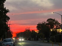 Yesterday's sunset in Los Angeles, California. The sky is red and pink in the background and gets gradually whiter in the foreground. There are trees on either side and cars driving on a road.