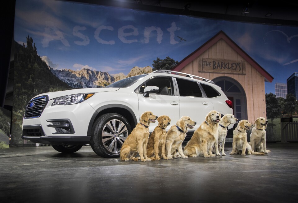 The Subaru Ascent is the largest car made by the Japanese auto makers, with seven seats.