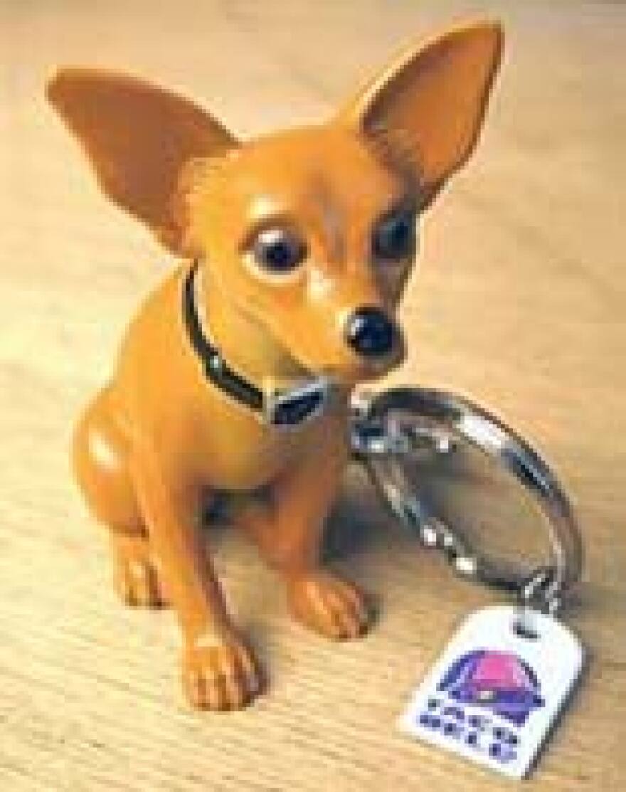 tacobelldog.jpg