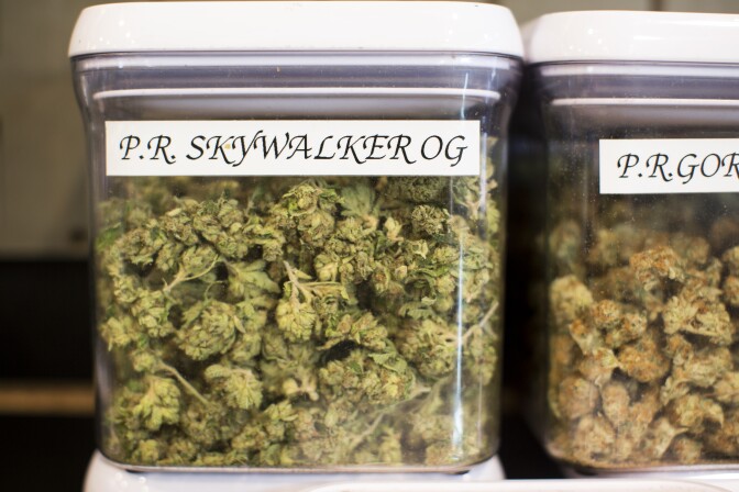 Kushmart, one of the largest medical dispensaries in downtown Los Angeles, currently has 55 strains of marijuana. Several strains at the dispensary are named after Star Wars characters.