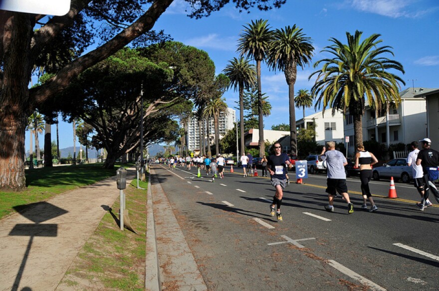 street_trees.jpg