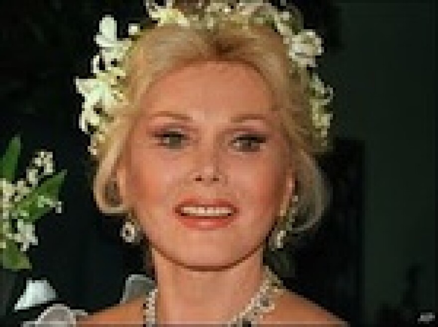 zsazsa-burglar.jpg