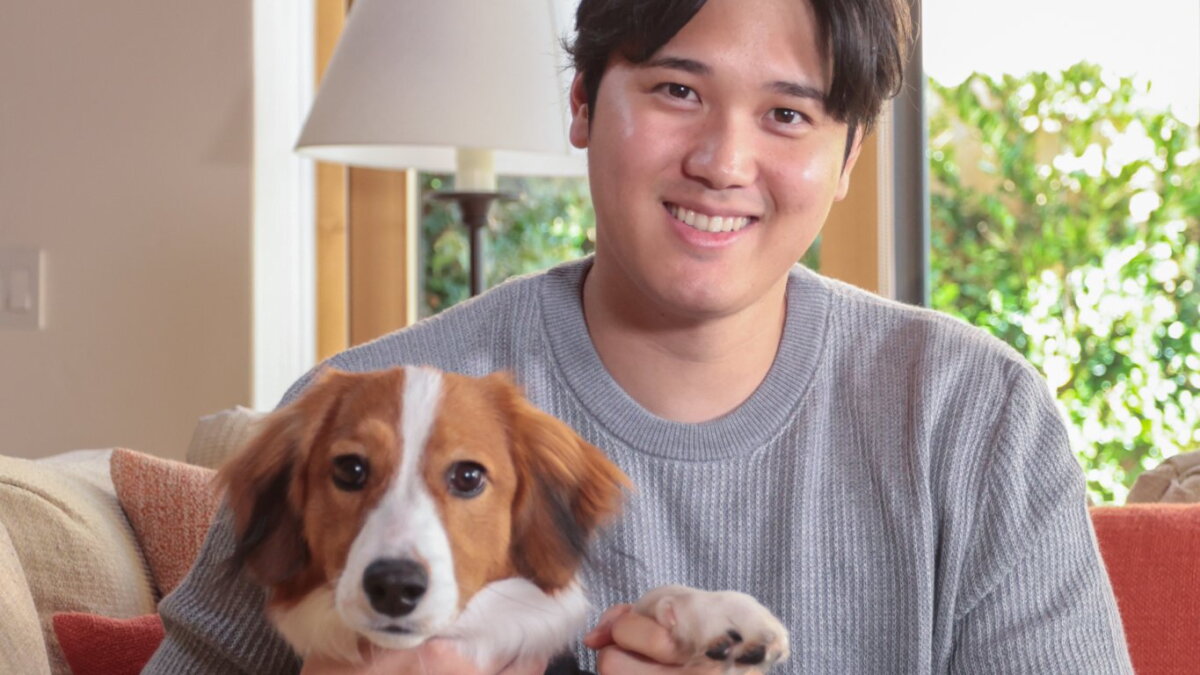 Shohei Ohtani Reveals His Dog's Name At Dodger Stadium, And The Internet Goes Wild - Vimarsana News