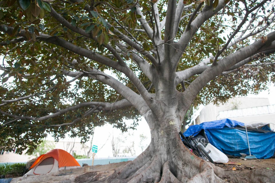 Tents pitched near an offramp and freeway in Hollywood, Calif. on Friday, Mar 16, 2018. Residents there say they prefer living outside to the using a homeless shelter where couples will have to be separated and strict scheduling is enforced.