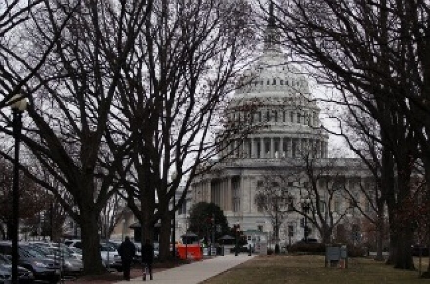 The U.S. Capitol is seen through bare trees on January 7, 2011 in Washington, DC.