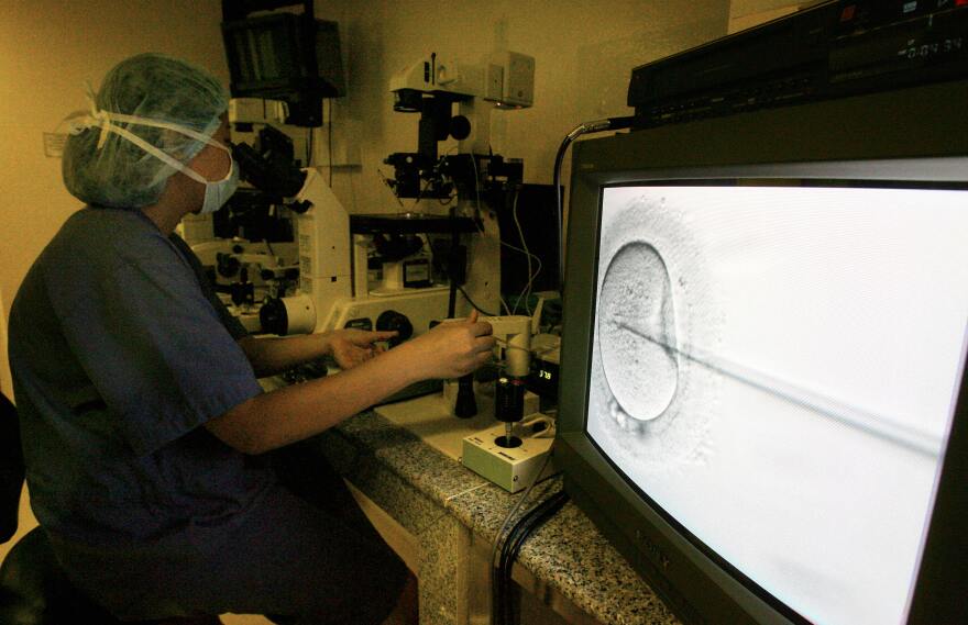 An expert performs in-vitro fertilization.