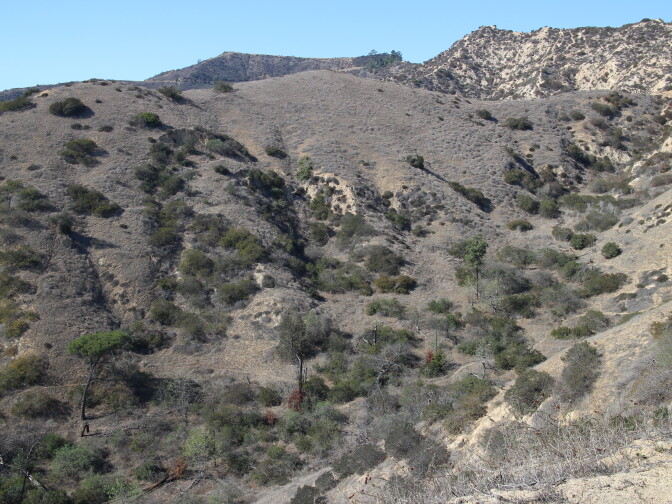 Dried grasses cover most of the hills in Griffith Park on February 5, 2014