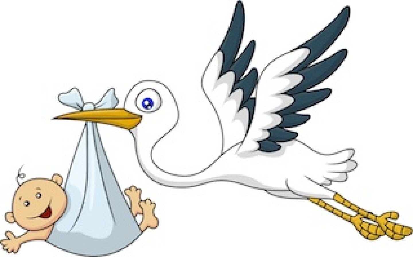 baby-boy-stork.jpg
