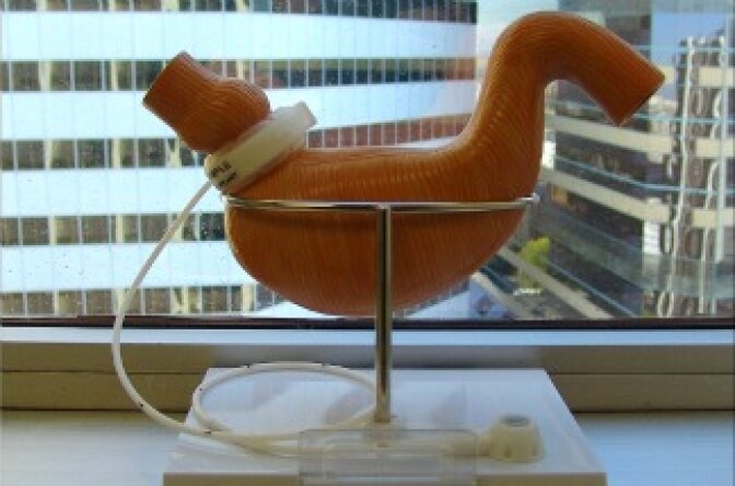 A Lap-Band is displayed on a mock up of a human stomach.