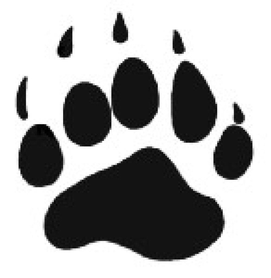 bear-paw.jpg