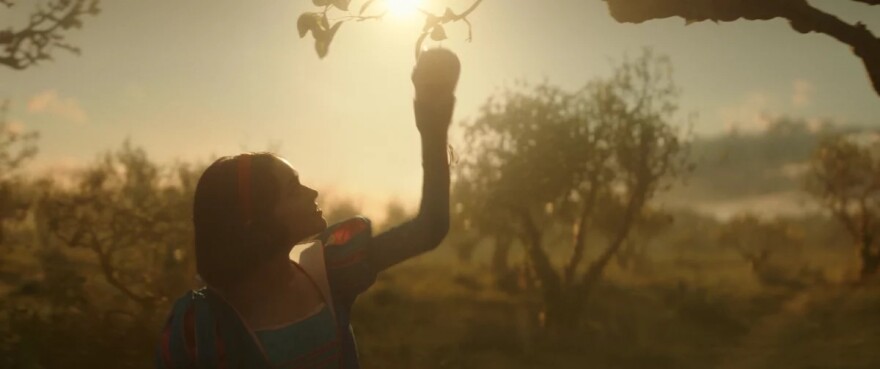 A woman in a golden light picking a fruit from a tree