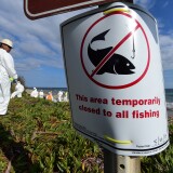 A sign is posted closing the beach to all fishing as an environmental cleanup crew helps with the clearing of oil-tainted items found at Refugio State Beach in Santa Barbara County, in California on May 21, 2015. The governor of California declared an emergency as crews scrambled to contain an oil slick and clean up popular beaches after a pipeline rupture dumped thousands of gallons of oil into the ocean. AFP PHOTO / FREDERIC J. BROWN        (Photo credit should read FREDERIC J. BROWN/AFP/Getty Images)