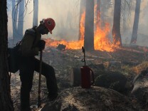 In this photo provided by the U.S. Forest Service, a Hotshot fire crew member rests near a controlled burn operation at Horseshoe Meadows, as crews continue to fight the Rim Fire near Yosemite National Park in California Wednesday, Sept. 4, 2013. The massive wildfire is now 80 percent contained according to a state fire spokesman. The Rim Fire’s southeast flank in Yosemite National Park is expected to remain active where unburned fuels remain between containment lines and the fire. (AP Photo/U.S. Forest Service, Mike McMillan)