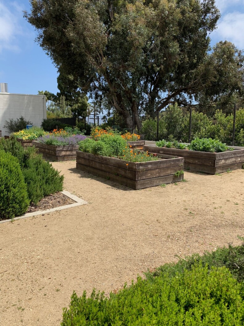 Many raised garden and flower beds made out of wood line one side of the nature center, providing a place for people to learn about how to raise their own food and plants.
